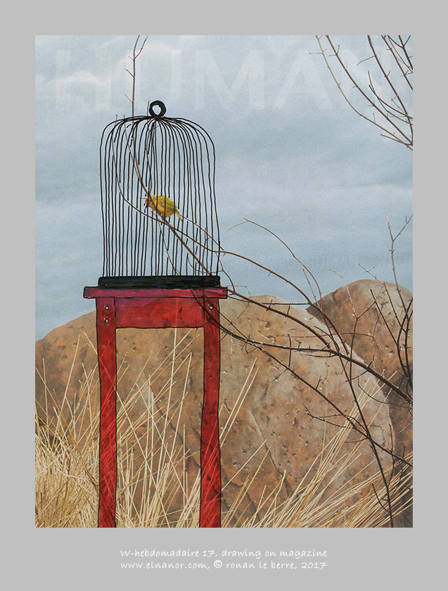 dessin on magazine, oiseau, cage, human, w-hebdo 17, année 2017 , ronan le berre, elnanor, imagier